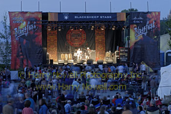 Bluesfest crowd photo