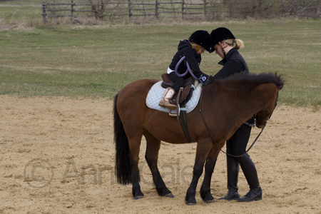 Dancing Horses - Ottawa photo class