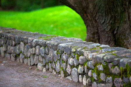 Gatineau Park photography