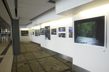 Photo Art Exhibition