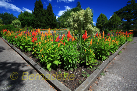 Landscape Photo Lessons Ottawa