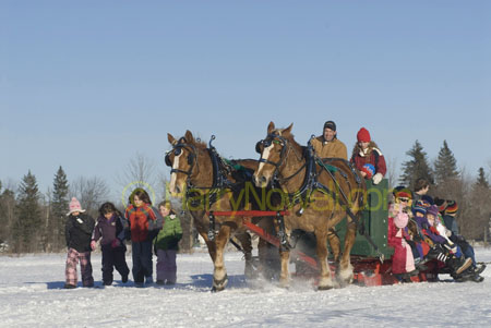 sleigh rides