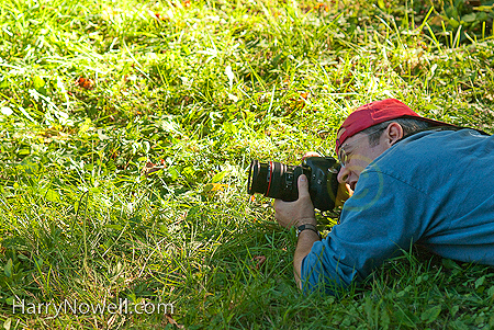 Photo Workshop Ottawa school