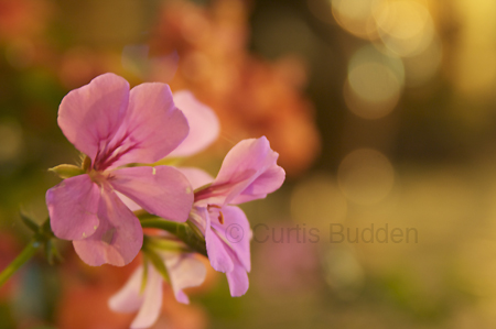 Night Light Photo Workshop - Ottawa