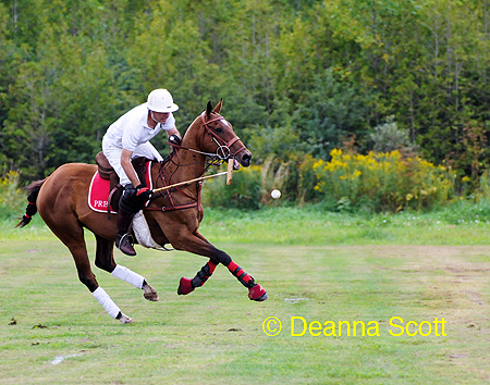 Sport Photo Workshop Ottawa