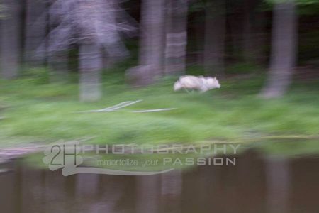 Student photo Wildlife Landscape Photo Class - J David Andrews