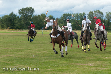 Peanut Polo Photo Workshop