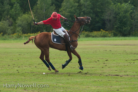 Peanut Polo Photo Workshop