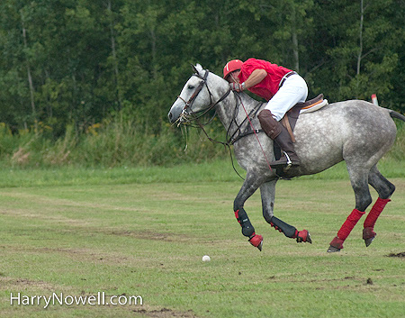 Polo sports photo workshop