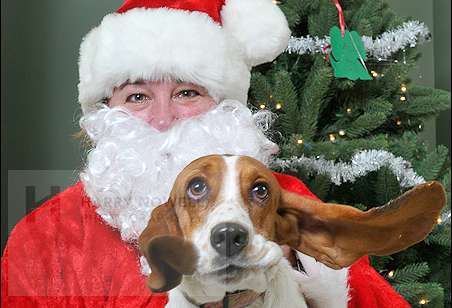 SPCA and Santa photo on the dog blog