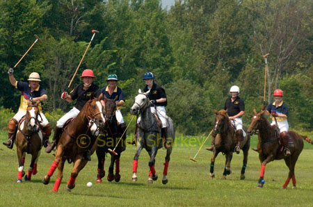 Polo photo