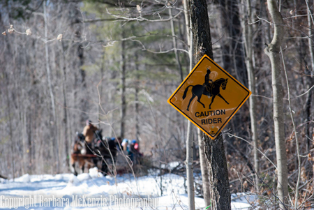 Sugarbush Photo Safari - Ottawa Valley