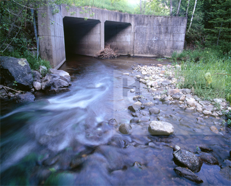 Watershed Art Exhibit