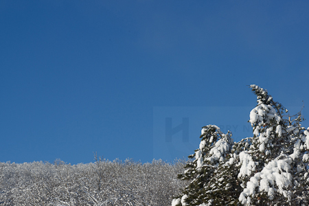 Ottawa Winter Landscapes Photo Workshop